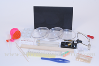 My First Lab Scientist Kit - SEK-01
